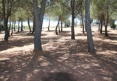 Terreno no urbanizable en venta en Nambroca ref: TR53855 foto