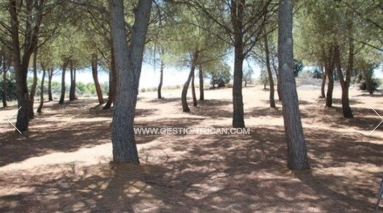 Toledo - Nambroca - 1360000m2