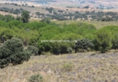 Terreno no urbanizable en venta en Nambroca ref: TR53855 foto