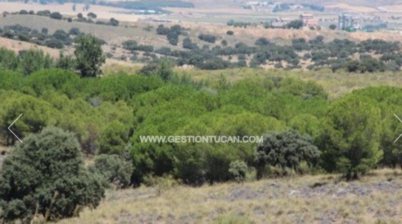 Toledo - Nambroca - 1360000m2