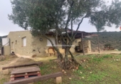 Finca rústica en venda a Fuente Obejuna ref.: TR187525 foto