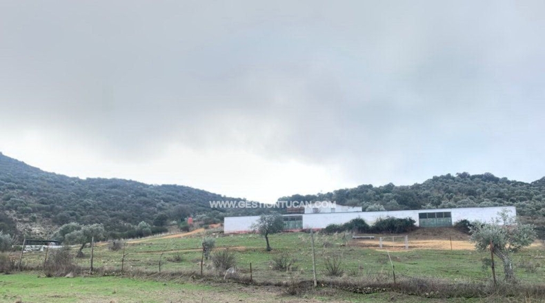 Córdoba - Fuente Obejuna - 156m2