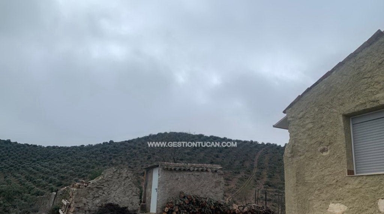 Córdoba - Fuente Obejuna - 156m2