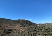 Finca rústica en venda a Fuente Obejuna ref.: TR187525 foto