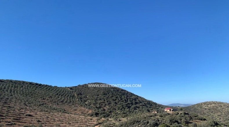 Córdoba - Fuente Obejuna - 156m2