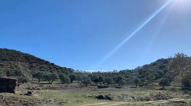 Córdoba - Fuente Obejuna - 156m2