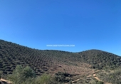 Finca rústica en venda a Fuente Obejuna ref.: TR187525 foto