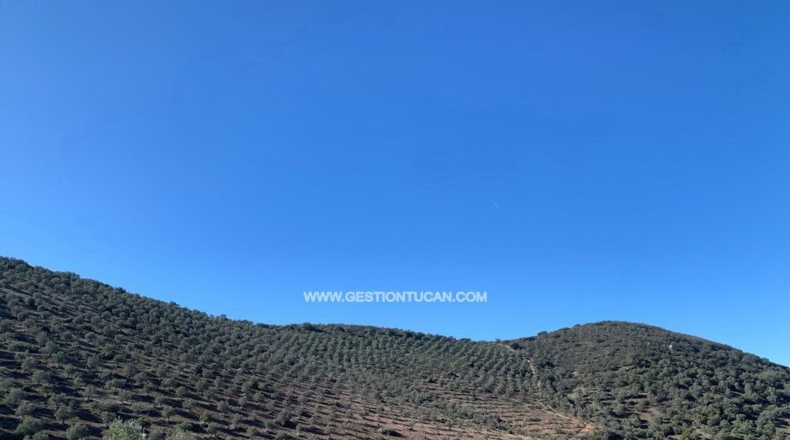 Córdoba - Fuente Obejuna - 156m2
