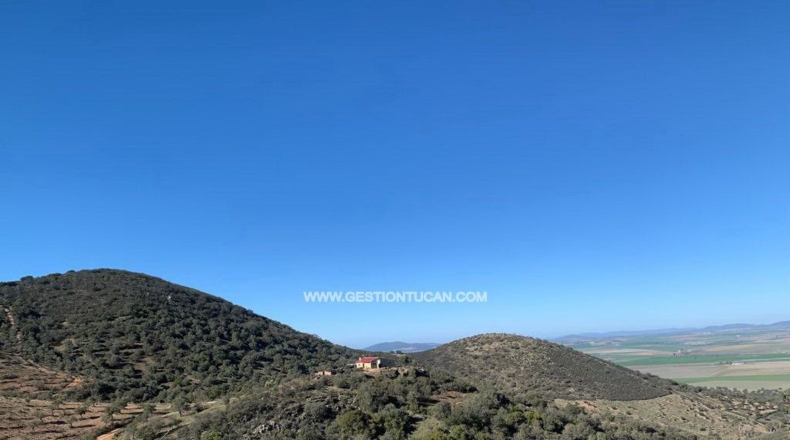 Córdoba - Fuente Obejuna - 156m2