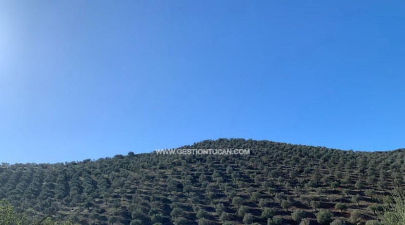 Córdoba - Fuente Obejuna - 156m2