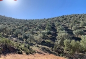 Finca rústica en venda a Fuente Obejuna ref.: TR187525 foto
