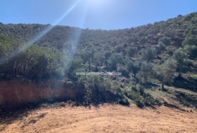 Foto 19
