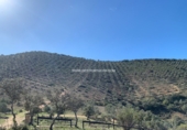 Finca rústica en venda a Fuente Obejuna ref.: TR187525 foto