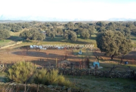 Parrillas 42000&nbsp;m² 