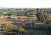 Terreny no urbanitzable en venda a Parrillas ref.: TR53853 foto