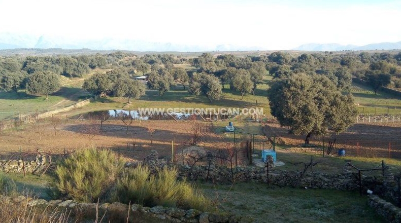 Toledo - Parrillas - 40000m2