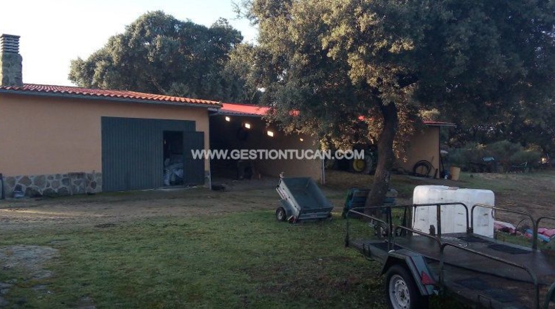 Toledo - Parrillas - 40000m2