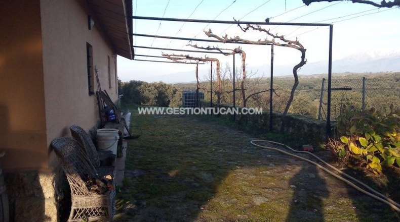 Toledo - Parrillas - 40000m2