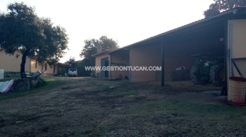 Toledo - Parrillas - 40000m2