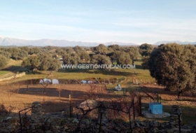 Parrillas 42000&nbsp;m² 