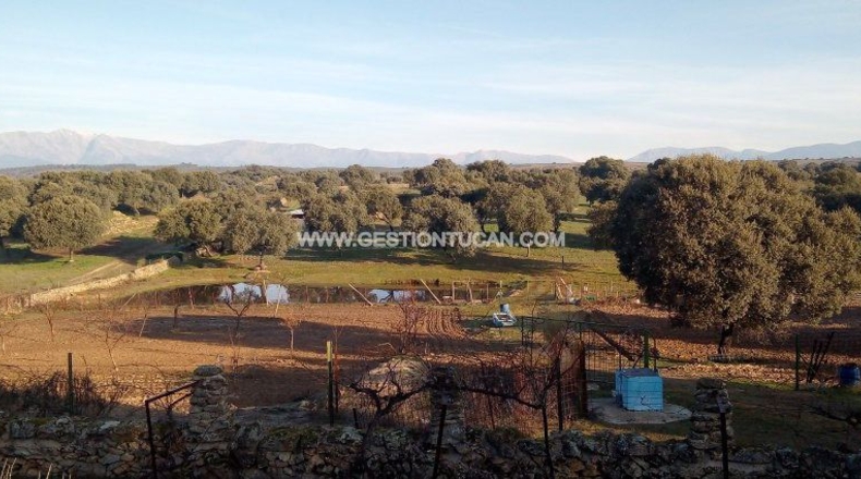 Toledo - Parrillas - 40000m2