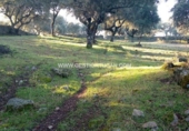 Terreny no urbanitzable en venda a Parrillas ref.: TR53853 foto