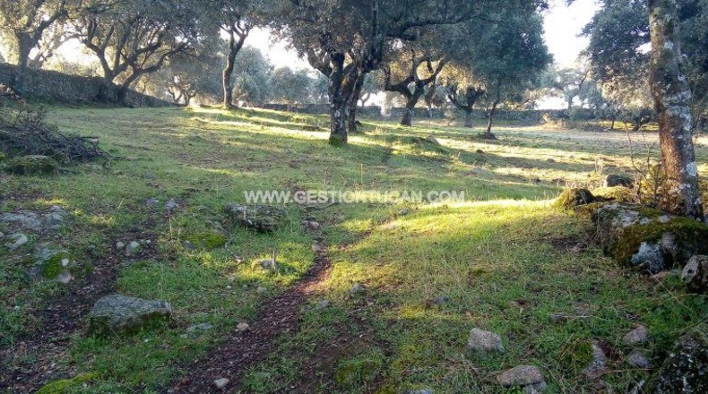 Toledo - Parrillas - 40000m2