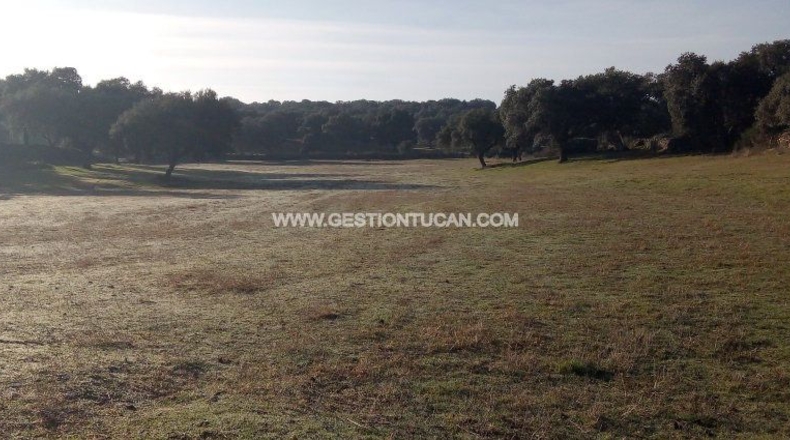Toledo - Parrillas - 40000m2