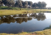 Terreny no urbanitzable en venda a Parrillas ref.: TR53853 foto