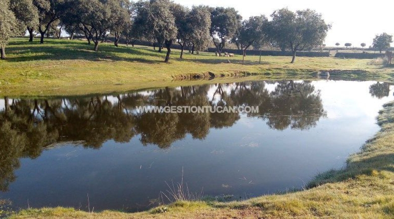 Toledo - Parrillas - 40000m2