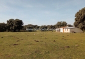Terreno no urbanizable en venta en Parrillas ref: TR53852 foto