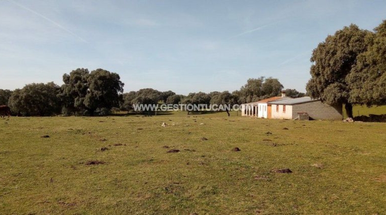 Toledo - Parrillas - 180200m2
