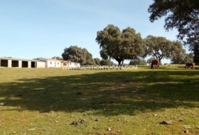 Parrillas 180200&nbsp;m²