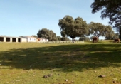 Terreno no urbanizable en venta en Parrillas ref: TR53852 foto