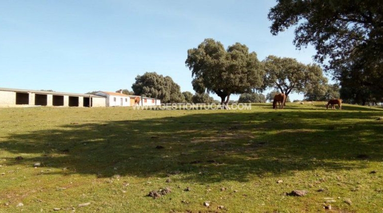 Toledo - Parrillas - 180200m2