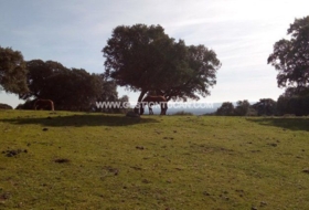 Parrillas 180200&nbsp;m²