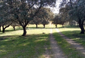 Parrillas 180200&nbsp;m²