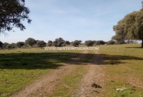 Parrillas 180200&nbsp;m²