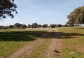 Terreno no urbanizable en venta en Parrillas ref: TR53852 foto