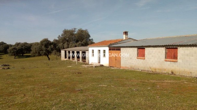 Toledo - Parrillas - 180200m2