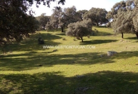 Parrillas 180200&nbsp;m²