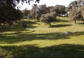 Terreno no urbanizable en venta en Parrillas ref: TR53852 foto