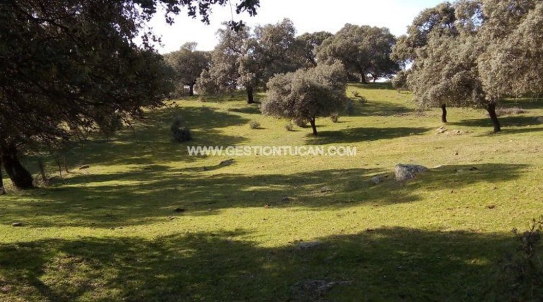 Toledo - Parrillas - 180200m2
