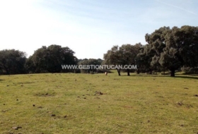 Parrillas 180200&nbsp;m²