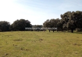 Terreno no urbanizable en venta en Parrillas ref: TR53852 foto
