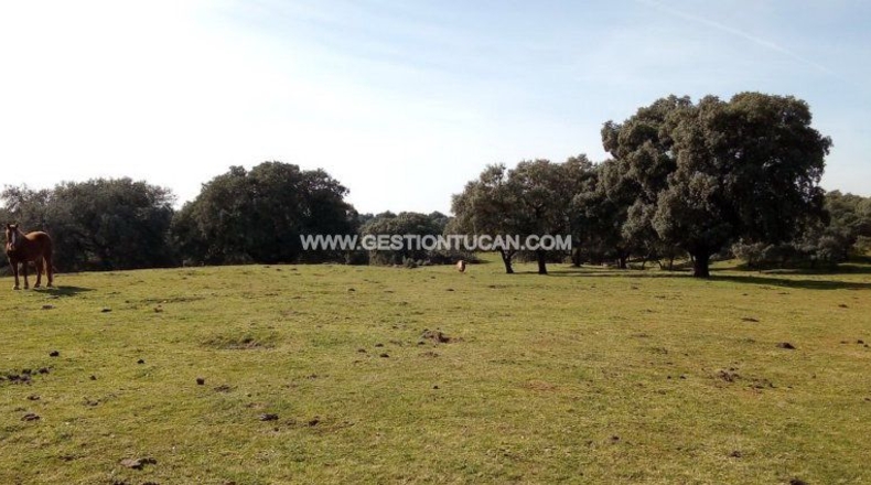 Toledo - Parrillas - 180200m2
