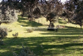 Parrillas 180200&nbsp;m²