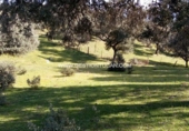 Terreno no urbanizable en venta en Parrillas ref: TR53852 foto