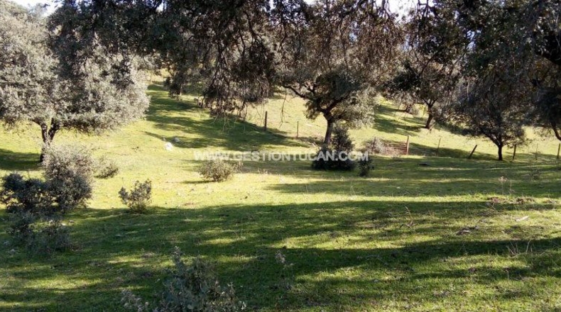 Toledo - Parrillas - 180200m2