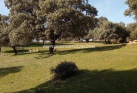 Parrillas 180200&nbsp;m²